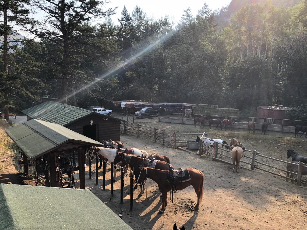מלון Bill Cody Ranch מראה חיצוני תמונה